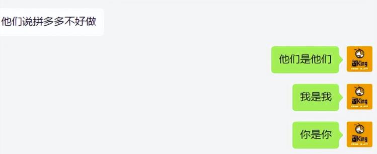 淘k·拼多多虚拟开店打卡群:2023一群人同行快过一个人单独摸索(昨日群里有小伙伴日入3000+)插图(3) 流年日记