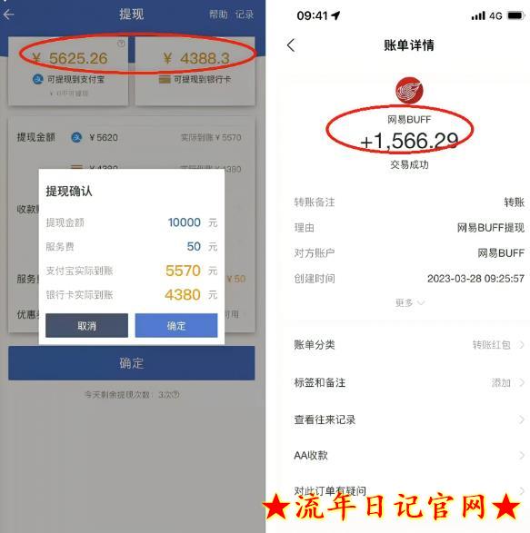 2023最新csgo游戏搬砖游戏,无需挂机小白无脑也能日入300+插图(1) 流年日记