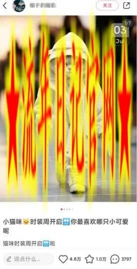 小红书最新爆款项目Animal秀,老保姆级教程,7天变现1w+插图(1) 小红书最新爆款项目Animal秀,老保姆级教程,7天变现1w+插图(1)