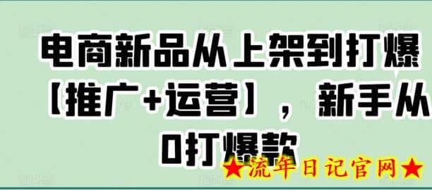 电商新品从上架到打爆【推广+运营】,新手从0打爆款插图 电商新品从上架到打爆【推广+运营】,新手从0打爆款插图