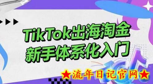 TikTok出海淘金,新手体系化入门,零基础快速入门,掌握短视频、直播带货等引流到变现的知识插图 TikTok出海淘金,新手体系化入门,零基础快速入门,掌握短视频、直播带货等引流到变现的知识插图
