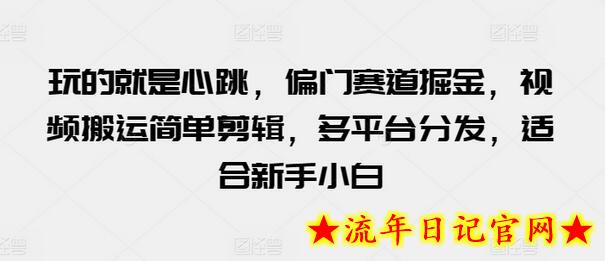 玩的就是心跳,偏门赛道掘金,视频搬运简单剪辑,多平台分发,适合新手小白插图 玩的就是心跳,偏门赛道掘金,视频搬运简单剪辑,多平台分发,适合新手小白插图