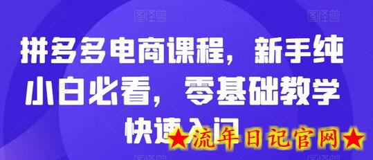 拼多多电商课程,新手纯小白必看,零基础教学快速入门插图 拼多多电商课程,新手纯小白必看,零基础教学快速入门插图