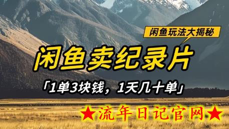 闲鱼卖纪录片1单3块钱,1天几十单,项目稳定有潜力插图 闲鱼卖纪录片1单3块钱,1天几十单,项目稳定有潜力插图