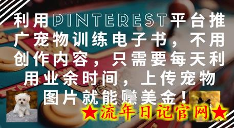 利用Pinterest平台推广宠物训练电子书,不用创作内容,只需要每天利用业余时间,上传宠物图片就能挣美金!插图 利用Pinterest平台推广宠物训练电子书,不用创作内容,只需要每天利用业余时间,上传宠物图片就能挣美金!插图