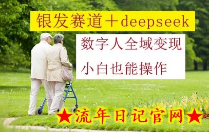 银发赛道+deepseek数字人全域变现,小白也能操作插图 银发赛道+deepseek数字人全域变现,小白也能操作插图