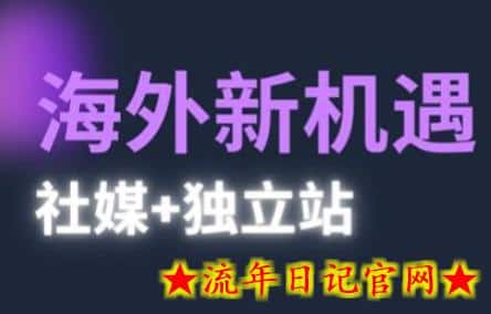 2025出海新机遇(社媒+独立站),海外新机遇,实现独立站的高效运营与出海插图 2025出海新机遇(社媒+独立站),海外新机遇,实现独立站的高效运营与出海插图