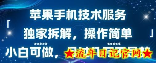 苹果手机技术服务,独家拆解,操作简单,小白可做,月过1W不是梦插图 苹果手机技术服务,独家拆解,操作简单,小白可做,月过1W不是梦插图