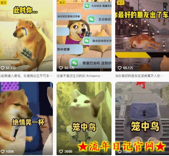 狗头幸运星UE5动画全套课程,从入门到实操全掌握插图 狗头幸运星UE5动画全套课程,从入门到实操全掌握