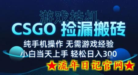 8月最新游戏搬砖,CSGO纯挂G,不需要玩游戏,实现真挂G,月入1W+【揭秘】插图 8月最新游戏搬砖,CSGO纯挂G,不需要玩游戏,实现真挂G,月入1W+【揭秘】