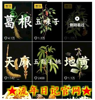 抖音中草药赛道,用AI做中草药故事视频,45条作品涨粉13W,橱窗带货猛猛出单插图(1) 抖音中草药赛道,用AI做中草药故事视频,45条作品涨粉13W,橱窗带货猛猛出单