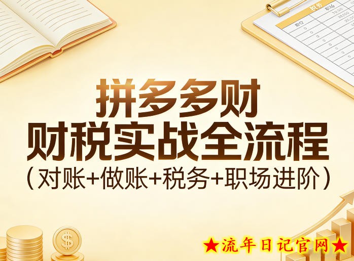 拼多多财税实战全流程(对账+做账+税务+职场进阶)插图 拼多多财税实战全流程(对账+做账+税务+职场进阶)