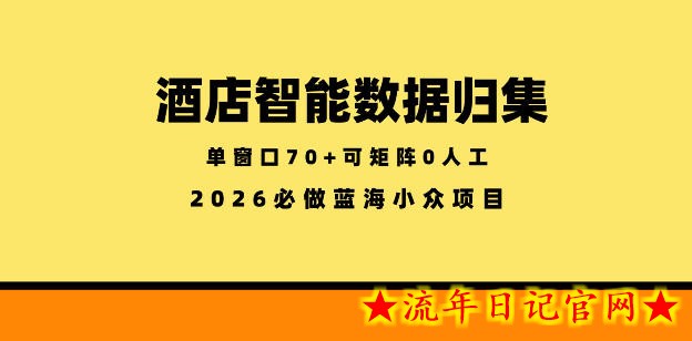 酒店智能数据归集,小众蓝海已经稳定半年之久,单窗口70+零成本矩阵开干【揭秘】插图 酒店智能数据归集,小众蓝海已经稳定半年之久,单窗口70+零成本矩阵开干【揭秘】