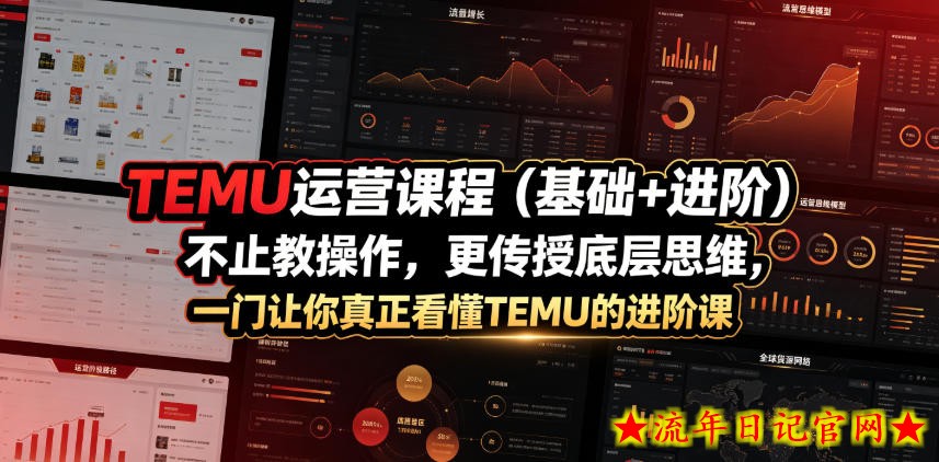 TEMU运营课程(基础+进阶),不止教操作,更传授底层思维,一门让你真正看懂TEMU的进阶课插图 TEMU运营课程(基础+进阶),不止教操作,更传授底层思维,一门让你真正看懂TEMU的进阶课