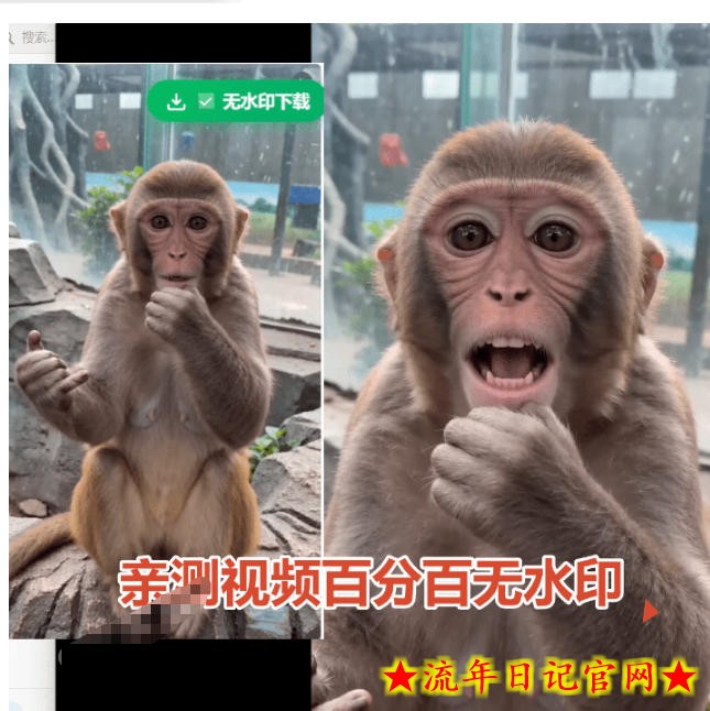 豆包无水印下载终于来了!支持豆包图片/视频,目前唯一免费使用的插件,浏览器拓展插图(1) 豆包无水印下载终于来了!支持豆包图片/视频,目前唯一免费使用的插件,浏览器拓展
