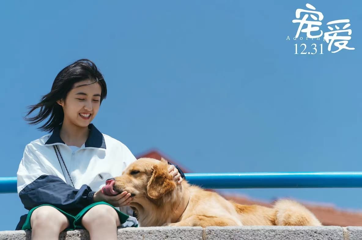 流年日记APP-流年日记