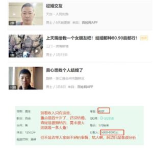 2022年干“婚介所”挣钱吗?冷门项目解析-流年日记