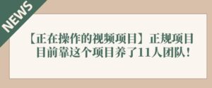 【正在操作的视频项目】正规项目,目前靠这个项目养了11人团队!-流年日记