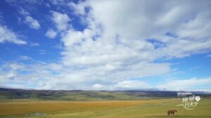 网上赚钱该何去何从?出路在哪里?-流年日记