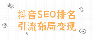 抖音SEO排名引流布局变现-流年日记