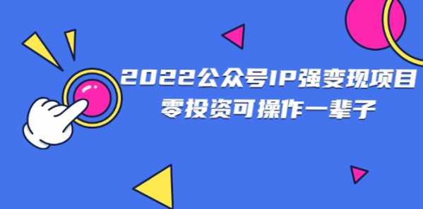 2022公众号IP强变现项目，可长期操作-流年日记