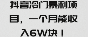 抖音冷门暴利项目,号称一个月能收入6W块!【2022年1月份视频教程】-流年日记