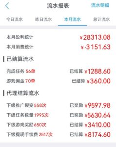 【流年遇见的网络故事】:从0到月入3万-流年日记