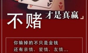 【流年遇见的网络故事】:不赌为赢-流年日记