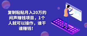 复制粘贴月入20万的闷声赚钱项目 1个人就可以操作 谁干谁赚钱!-流年日记