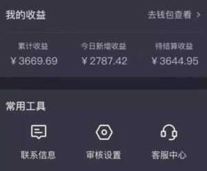 抖音游戏发行人实战课,非常适合想在抖音做副业,或者2次创业的人-流年日记