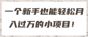 一个新手也能轻松月入过万的小项目!【视频教程】-流年日记