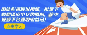 国外影视解说视频,批量下载翻译成中文伪原创,传中视频平台赚取收益-流年日记