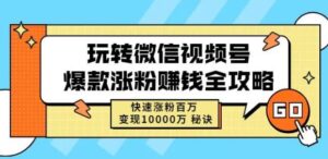 玩转微信视频号爆款涨粉赚钱全攻略,快速涨粉百万变现万元秘诀-流年日记