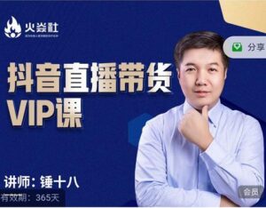 锤十八-抖音直播带货VIP课,专注直播带货有效盈利模式-流年日记