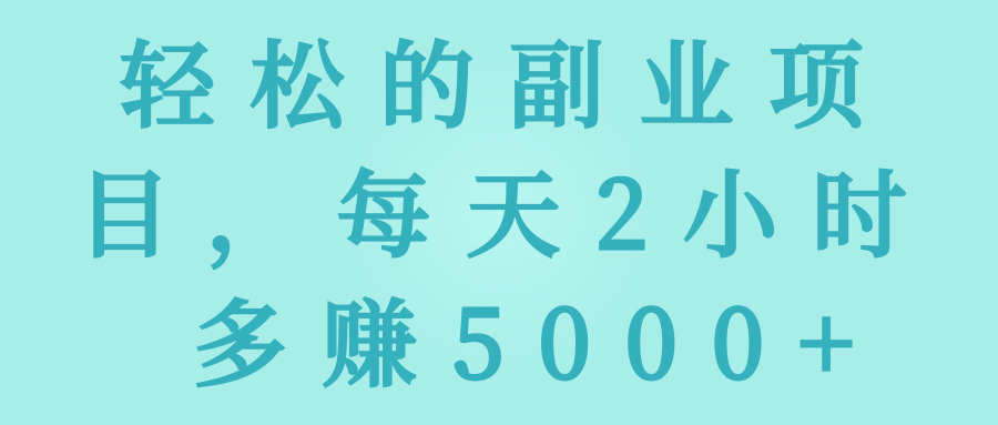 轻松的副业项目，每天2小时 多赚5000+【视频教程】-流年日记