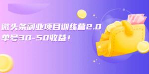 微头条副业项目训练营2.0-流年日记