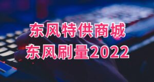 东风刷量工作室+东风特供商城-流年日记