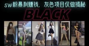 丝袜粉暴利赚钱,灰色项目套路揭秘【视频讲解】-流年日记
