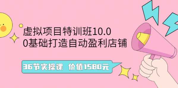 虚拟项目特训班10.0，0基础打造自动盈利店铺 36节实操课 价值1580元-流年日记