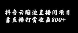 抖音云蹦迪直播间项目,靠直播打赏收益800+-流年日记