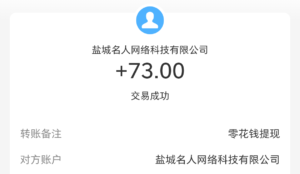 零花钱托管后台卦机攻略-流年日记