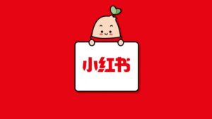 卖小红书公众号的快速变现小项目,一个号赚几千上万块-流年日记