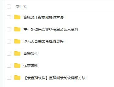 左小姐-直播带货俱乐部十三行、无人直播，全套教程附：工具、文档、话术资料-流年日记