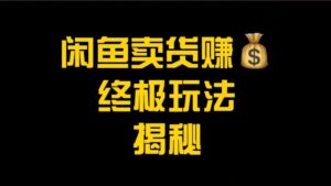 闲鱼无货源玩法(入门+高级),最适合个人互联网的创业项目-流年日记