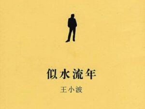 王小波说:智慧、有趣和性爱,是人生最美好的三件事-流年日记