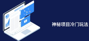 冷门项目:一个上午收入上千元!【4个项目】-流年日记