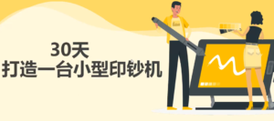 30天打造一台小型印钞机:躺赚30万的项目完整复盘(视频教程)-流年日记