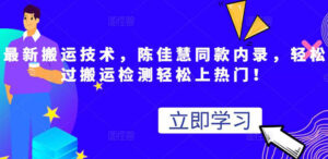 最新搬运技术视频替换,陈佳慧同款内录,测试最高跑了2亿-流年日记