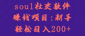 soul社交软件赚钱项目:新手轻松日入200+【视频教程】-流年日记