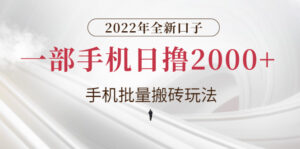 2022年全新口子,手机批量搬砖玩法,一部手机日撸2000+-流年日记